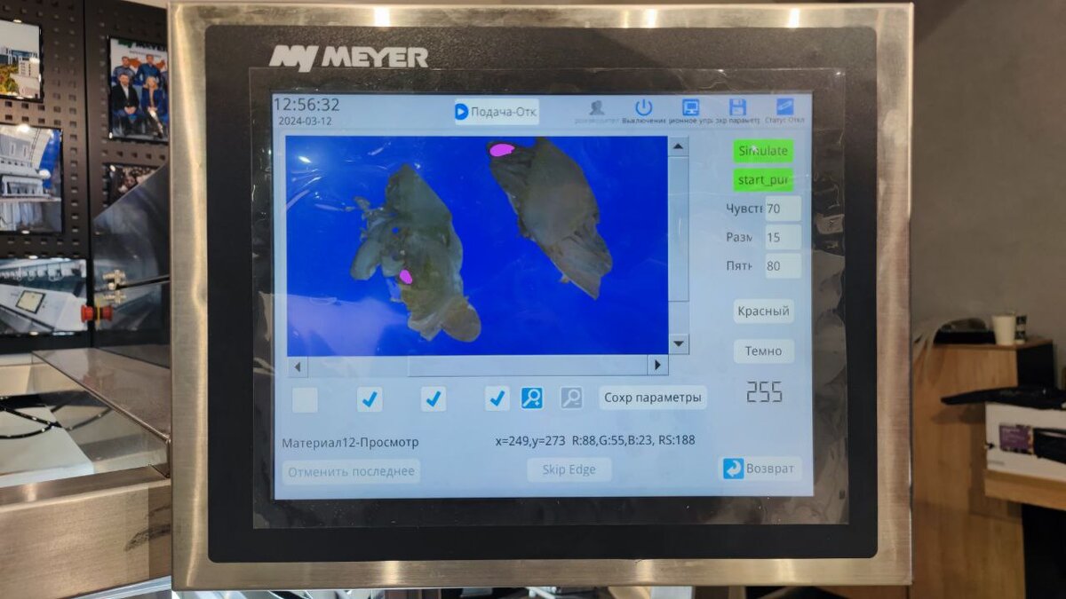 Обнаружение дефектов продукта на примере листов капусты