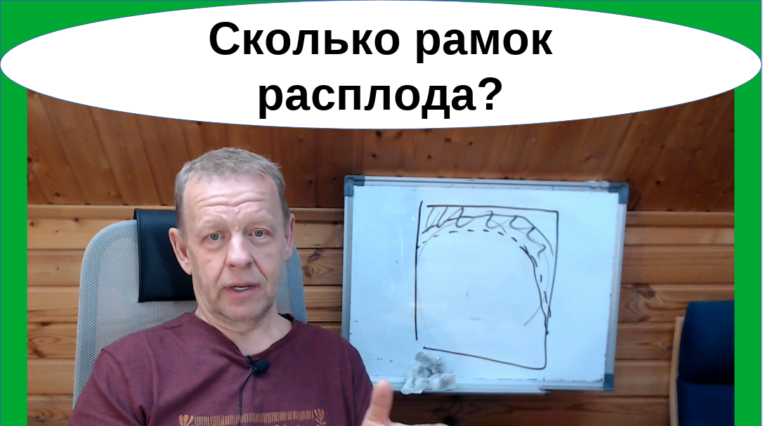 В комментарии написали, что я говорю о большом количестве расплода во Владимирском улье-лежаке 10-12 рамок, но это неверно в какой-то степени.