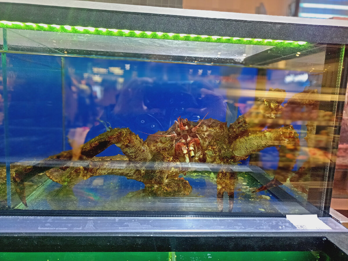 это ужас. мне кусок в горло не полезет. 