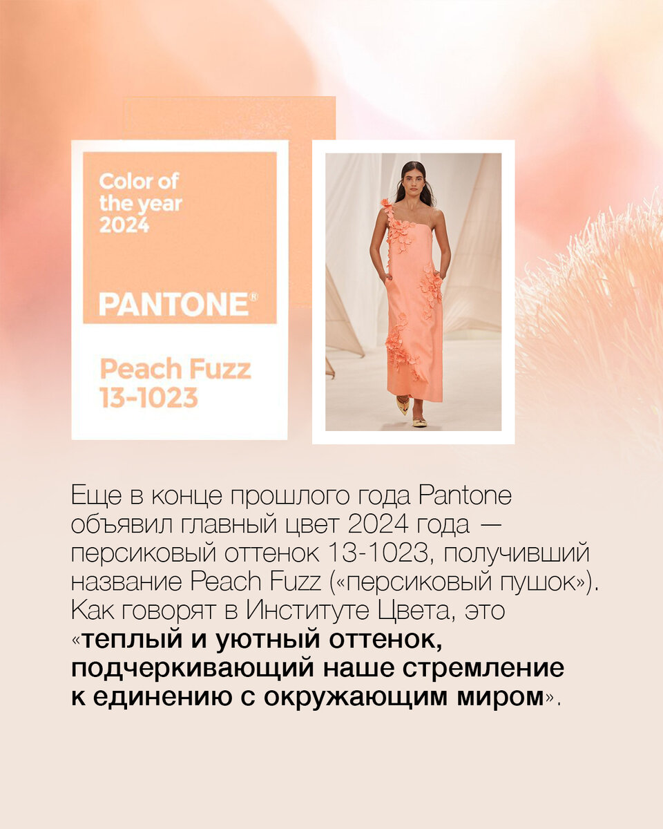 Пантон 2024 цвет года в интерьере Цвет года по версии Pantone nelvamoda Дзен