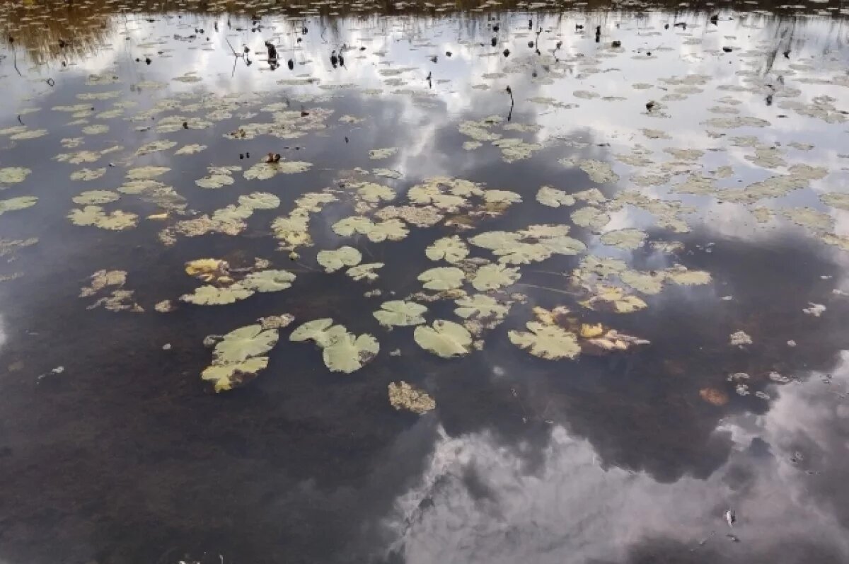    В Абдулинском районе у водоёма разыскивают пропавшего мужчину