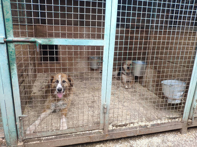 Милан и Гжель.