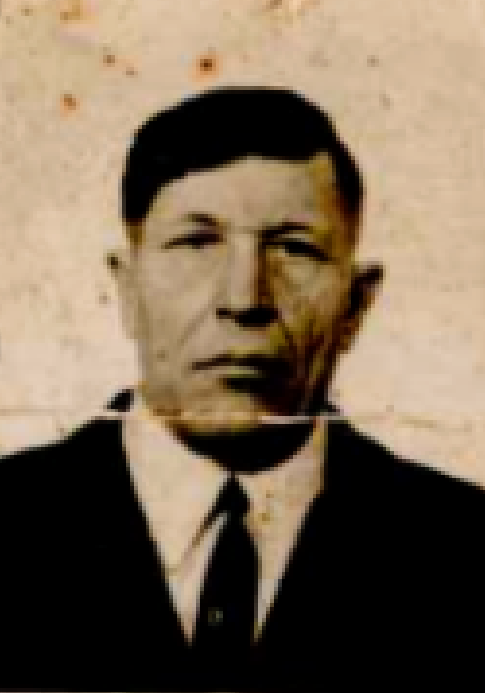 Долбёшкин Василий Сергеевич