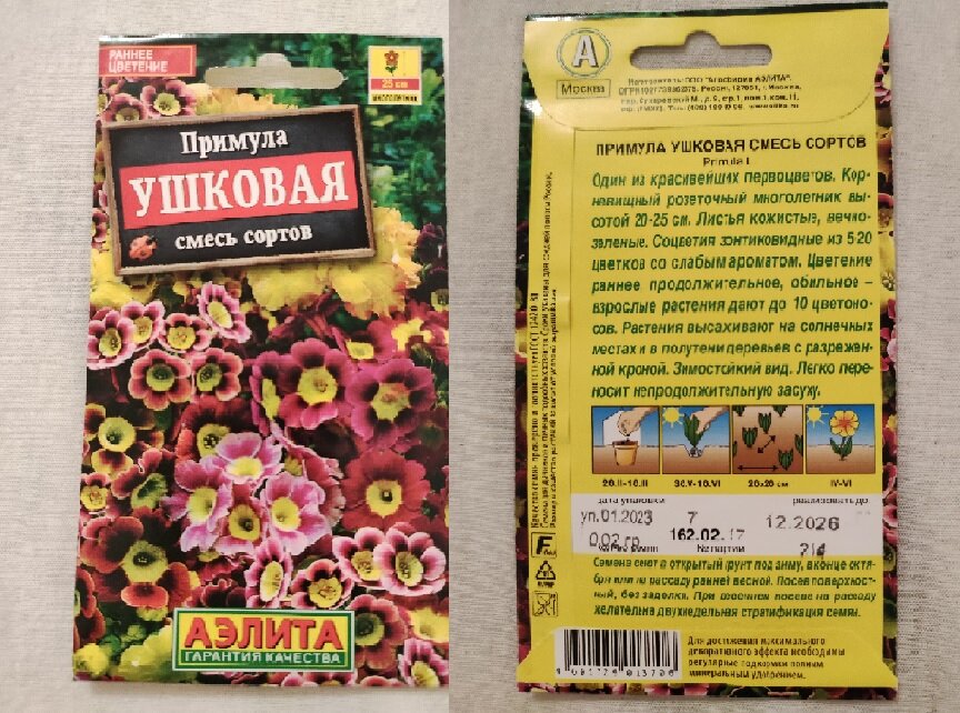 Семена примулы