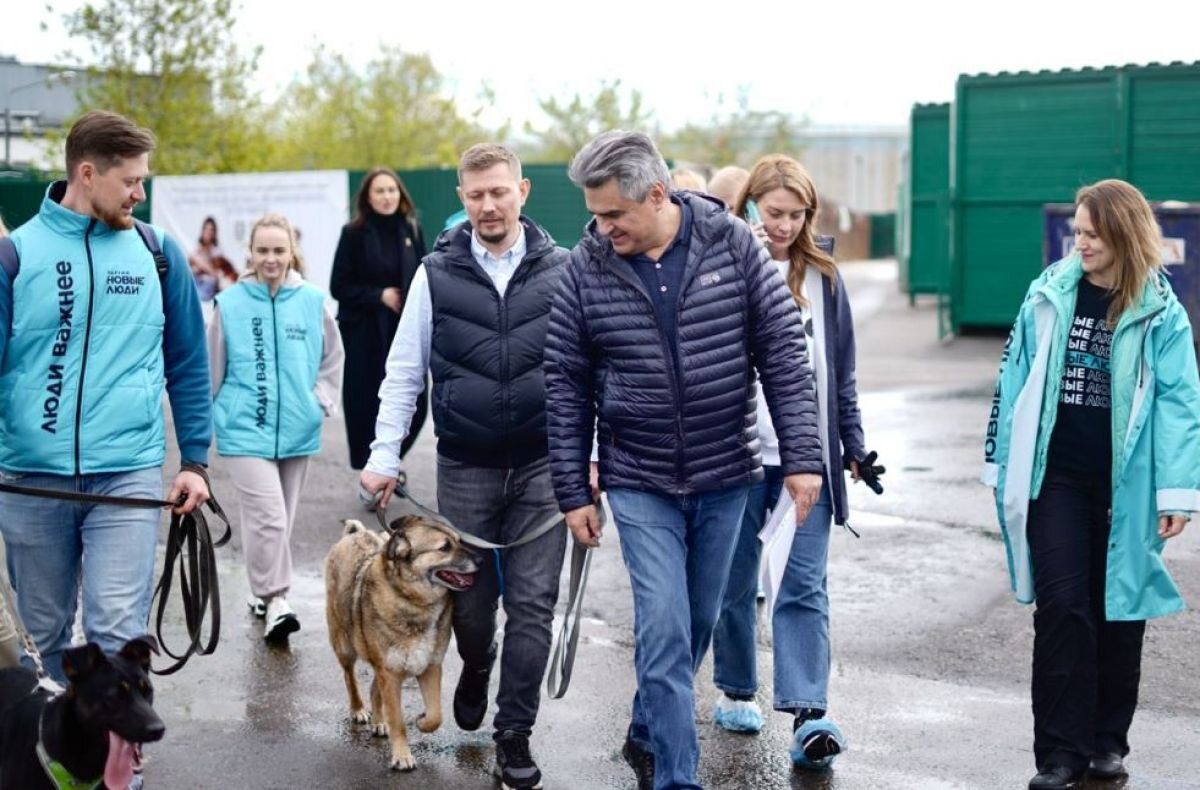 Остановить домашнее насилие, спасти животных, помочь матерям - топ-3  инициативы 