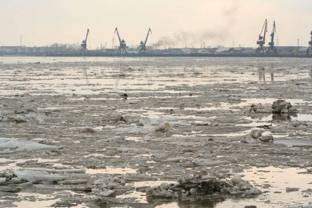    Уровень Оби в Нижневартовске поднялся на пять сантиметров