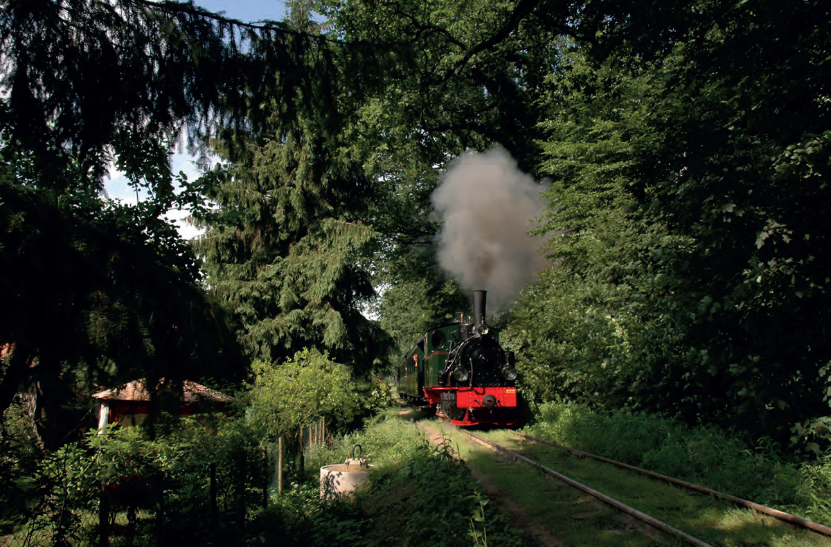 Картинка из свободных источников. 