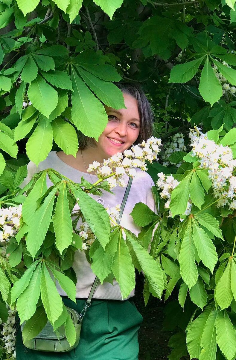 Цветение каштанов великолепно!