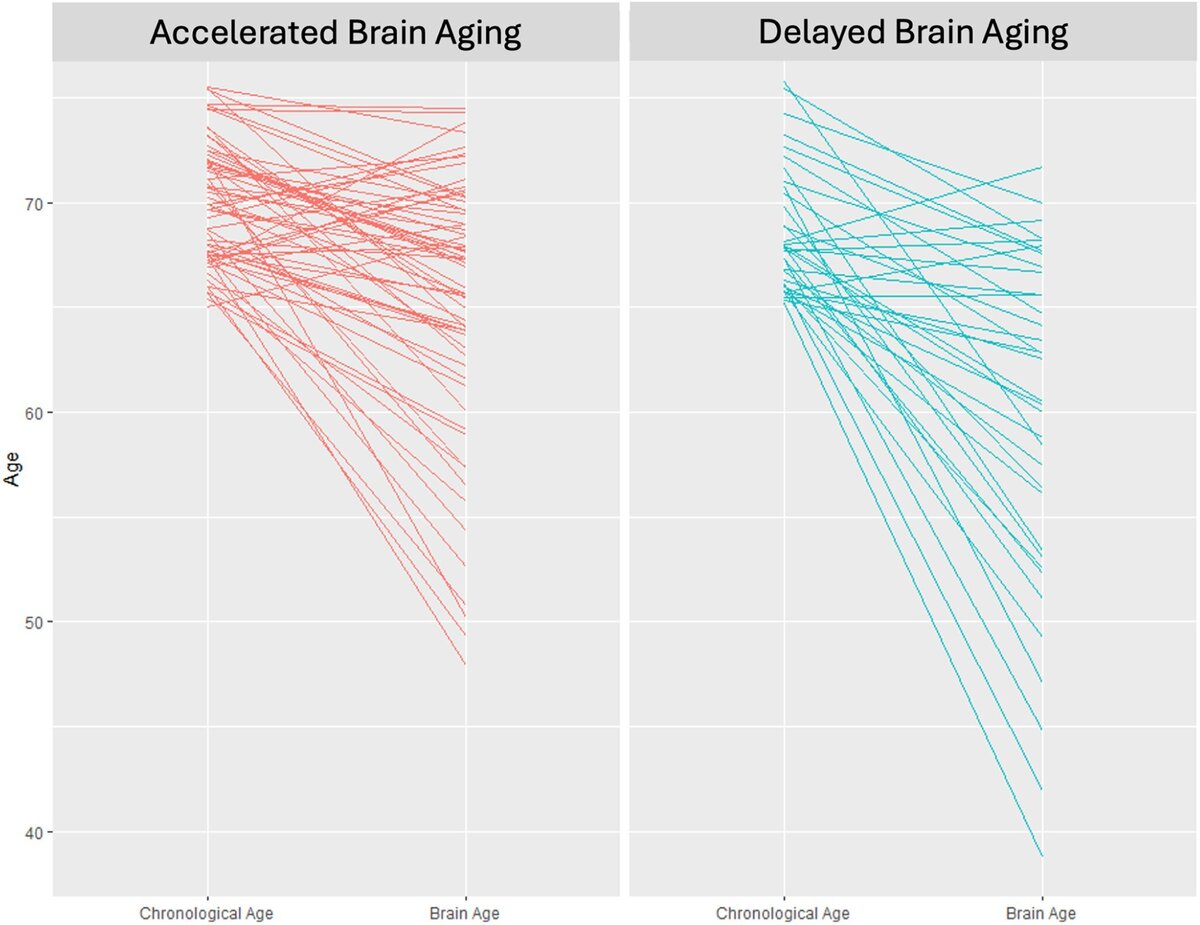    npj Aging (2024). DOI: 10.1038/s41514-024-00150-8