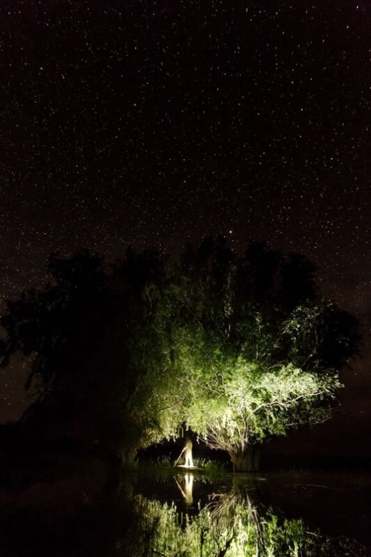 Фото: из архива А. Кашина