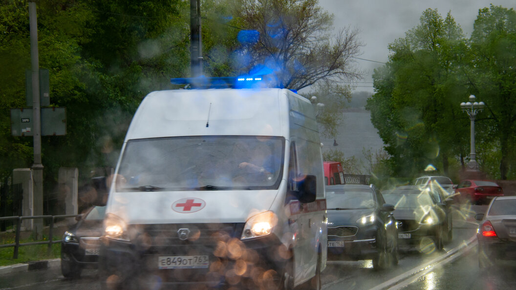    Svetlana Vozmilova/Global Look Press