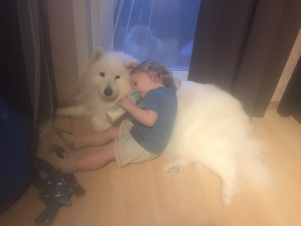 Мишка со своей любимкой 