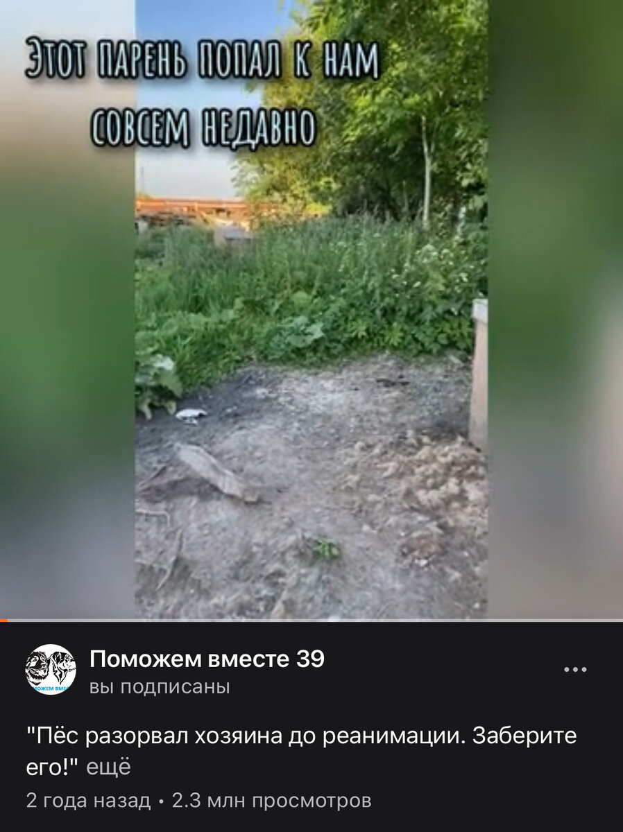 Шутка ли - 2.3 миллиона просмотров? Раньше нас показывали чаще...