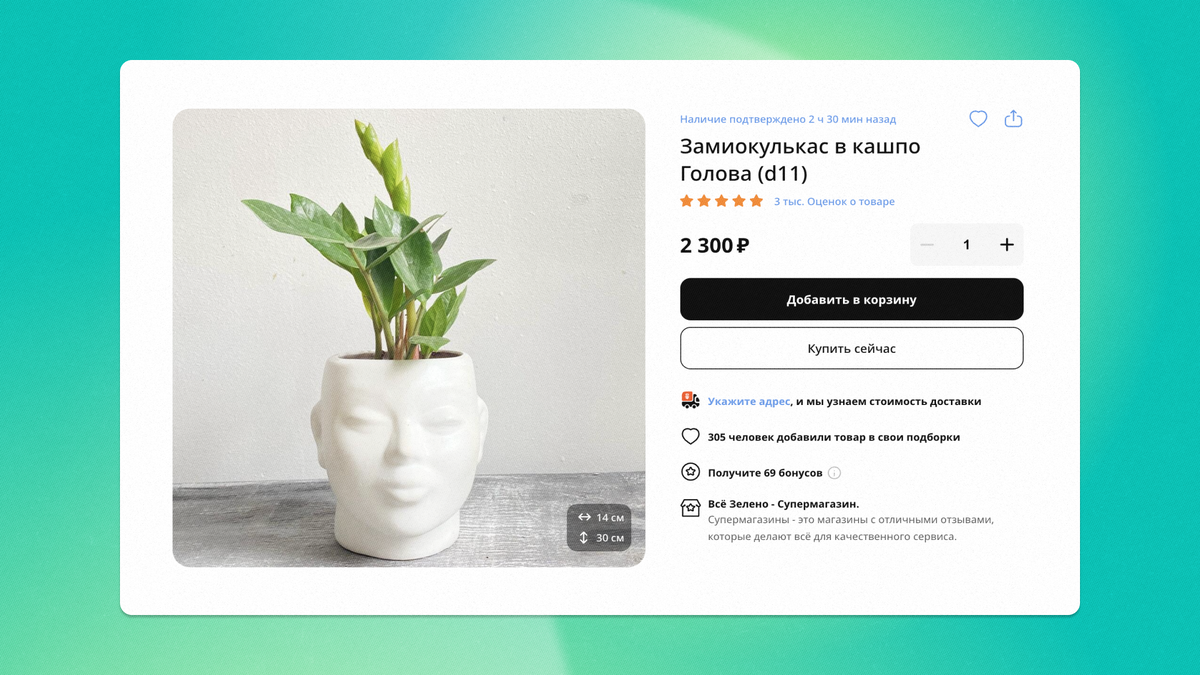 Зеленая любовь: как зарабатывать на комнатных растениях | Flowwow для  бизнеса | Дзен