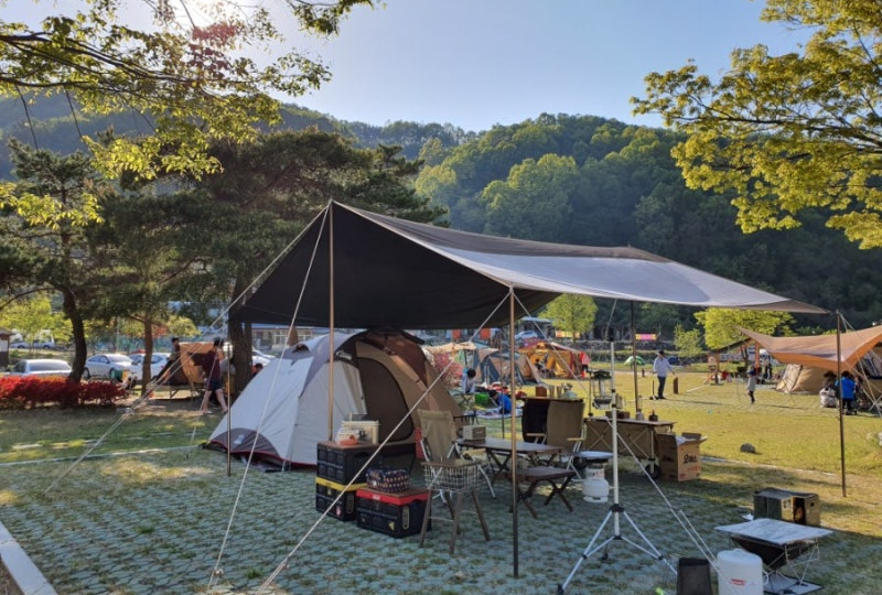 Как ездят НА ШАШЛЫКИ в Южной Корее?