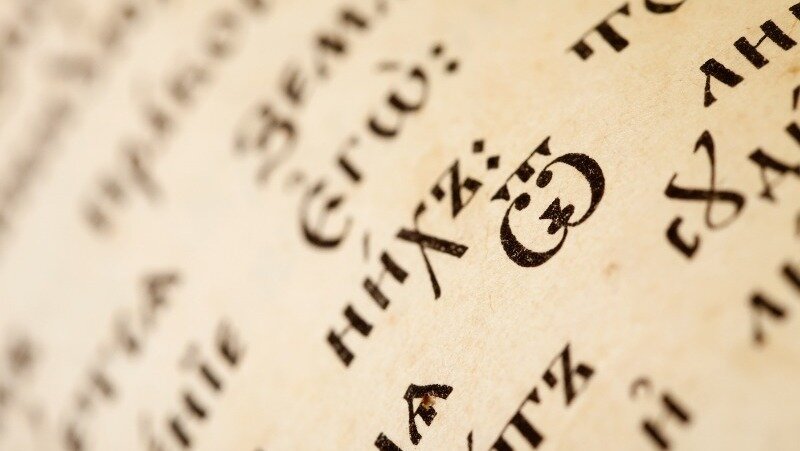 Фото: @bearfotos / freepik.com