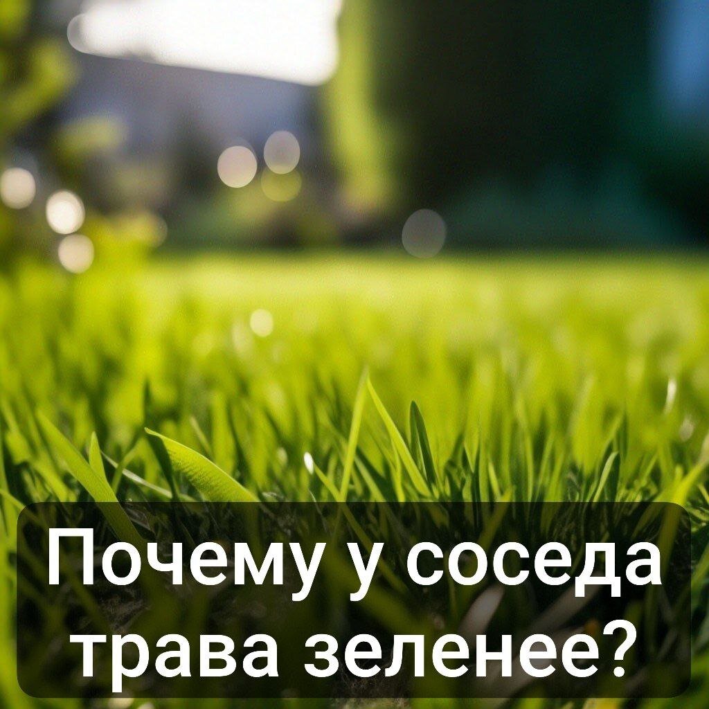 Дети в семье всегда испытывают ревность друг к другу. Кто-то в большей степени, кто-то в меньшей. Когда в нашей семье появилась младшая дочь, ее старшая сестра стала сильно ревновать, я даже боялась её оставить наедине с крохой. Но это довольно быстро прошло.Зато сейчас младшая дочь - пятиклассница считает, что у других лучше, чем у неё, что ни назовешь. Доходит до смешного. Купила одинаковое постельное бельё - так она стала присматриваться и говорит, что у старшей лучше. С одной стороны, это ревность. А с другой - простая человеческая природа, что в чужой тарелке всегда вкуснее, у других кошелек полнее, ноша легче и трава зеленее. Надеюсь, что в основе этих чувств и мыслей лежат естественные процессы взросления и формирования личности, и с возрастом, по мере взросления, младшая сестра научится ценить свою уникальность и поймет, что не всегда чужой кусок такой сладкий и вкусный, как кажется со стороны. 