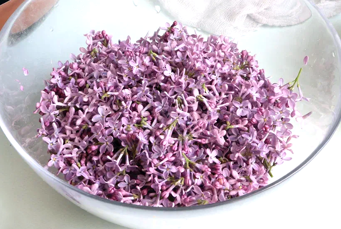 Варенье из сирени заготавливаю каждую весну: Очень вкусно и полезно, рекомендую и показываю всем