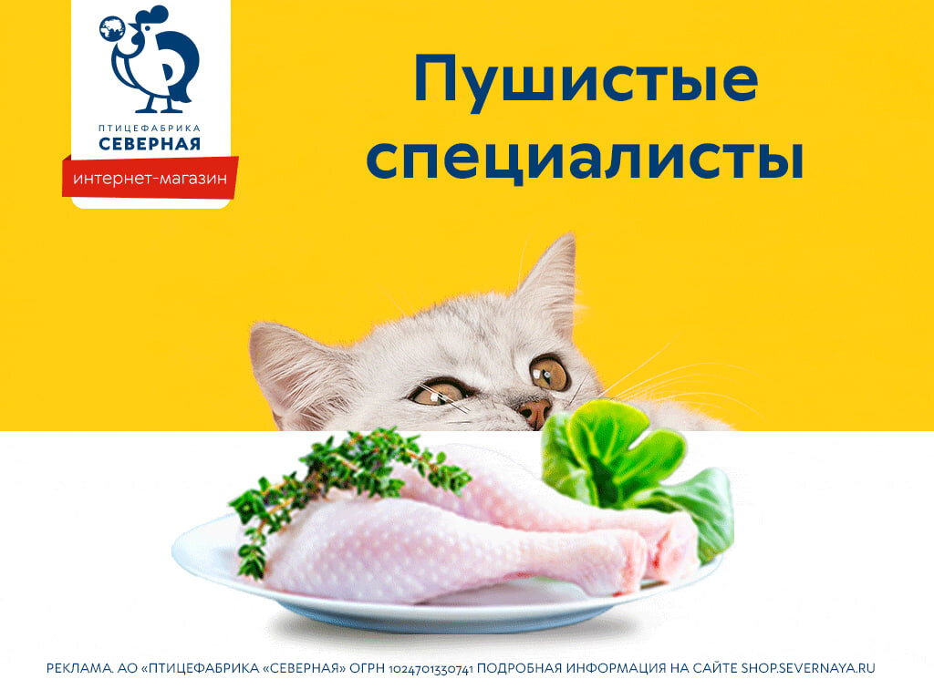 Коты точно знают толк в курице, мясе и натуральных продуктах. Хороший прием: кошка плохого есть не станет :)