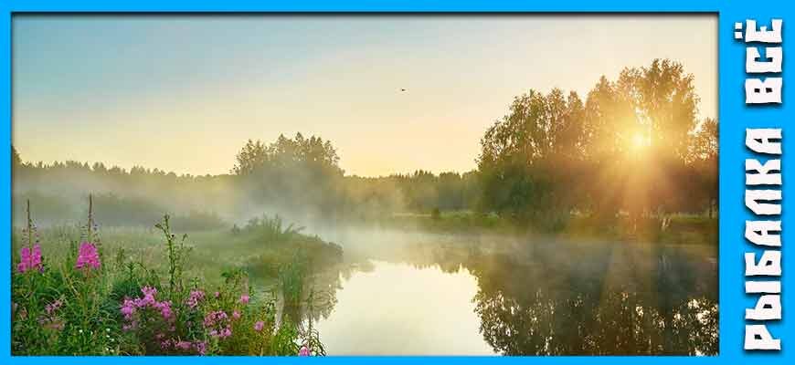 утро на рыбалке