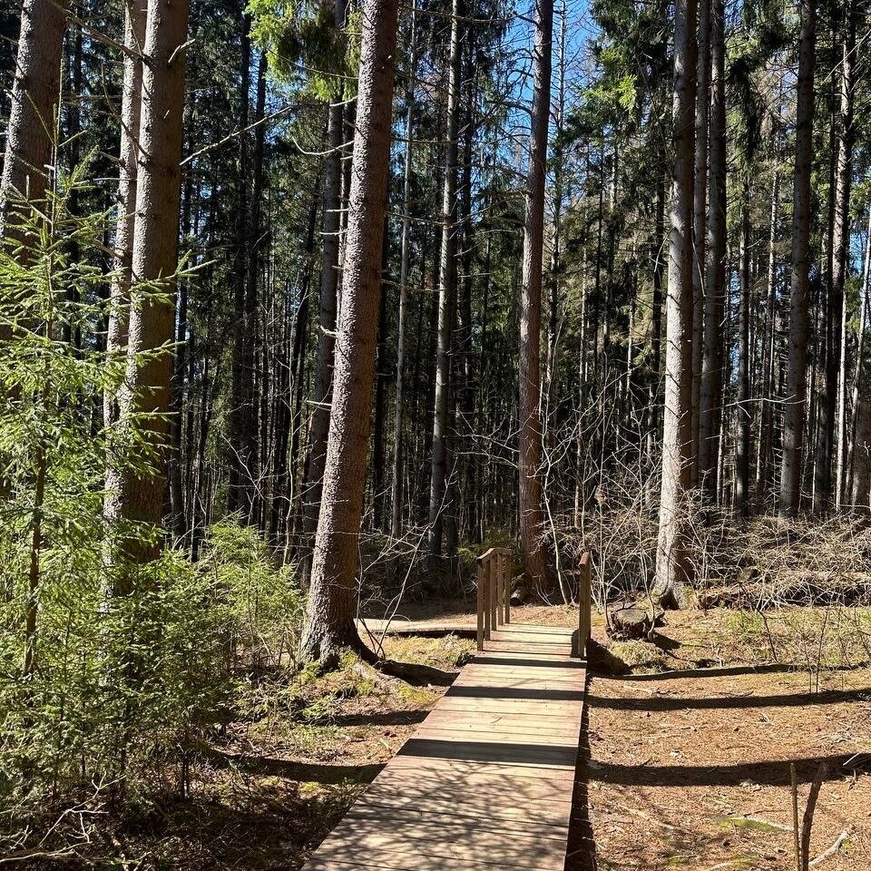 Тропа была открыта в 2014 году и стала первым подобным объектом в Санкт-Петербурге.