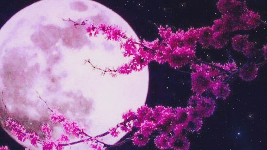 Луна в цветах. Фото в свободном доступе.