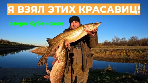 Я ВЗЯЛ ЭТИХ КРАСАВИЦ! Закрытие сезона на Кубенском озере #рыбалка #рыбалканащуку