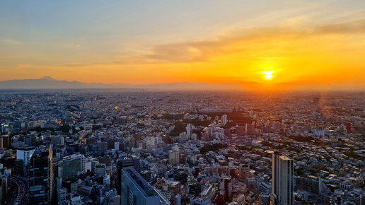 Shibuya Sky