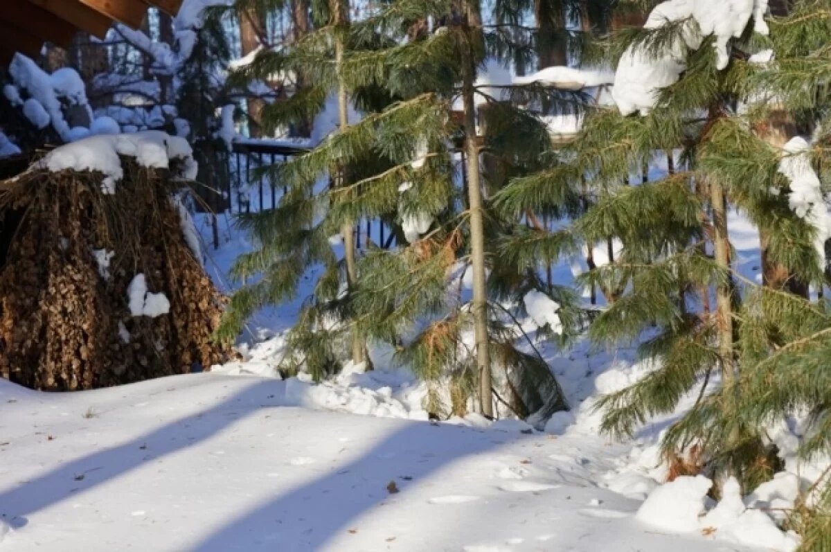    На Урале открылся крупнейший в России Трофейный форум