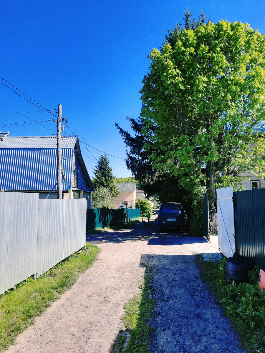 Погуляли немного. Чуть дальше - озеро. Но ходить туда боюсь из-за собак. Этим летом надо побороть страх, предварительно набрав вкусняшек.