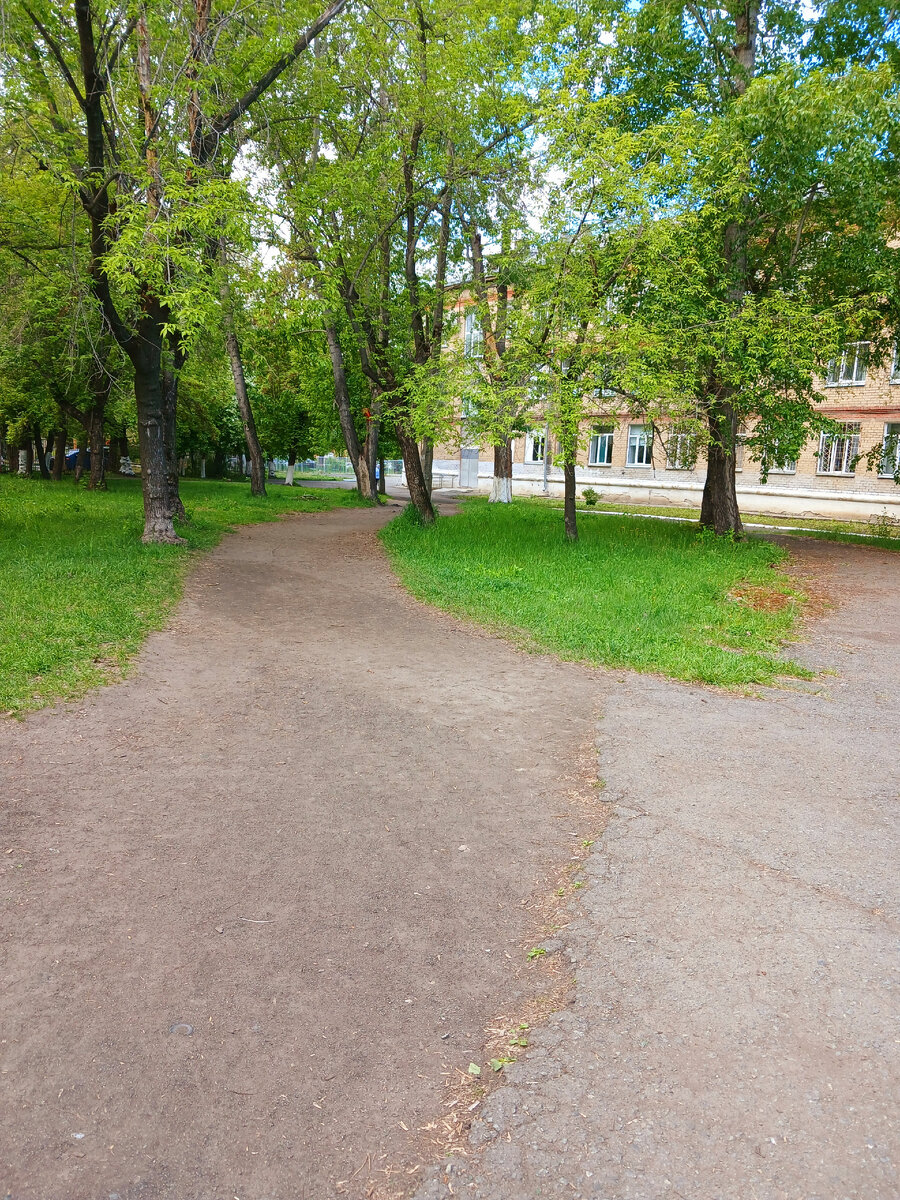 Дорога через школу. Фото автора 