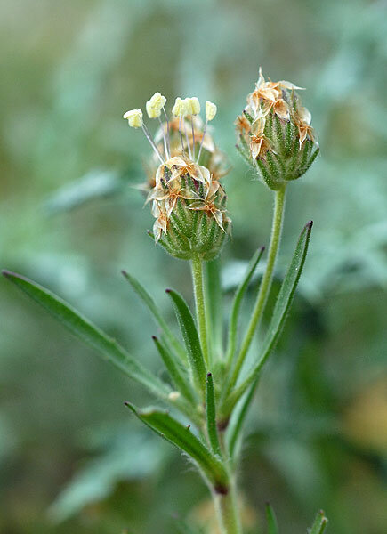 Фото взято из открытых источников (https://ya.ru/images/) 