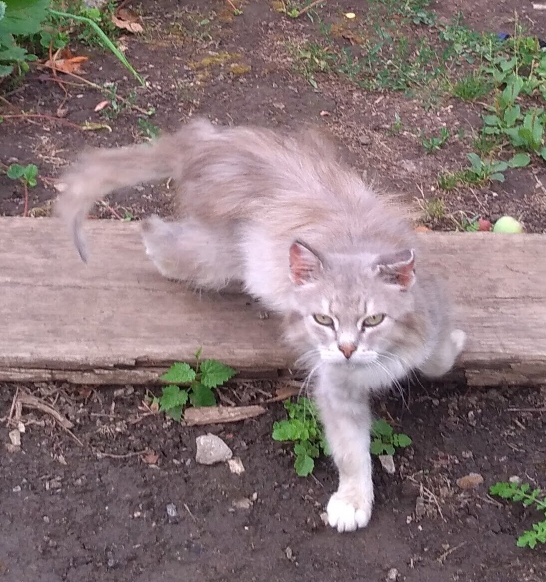 Первое знакомство