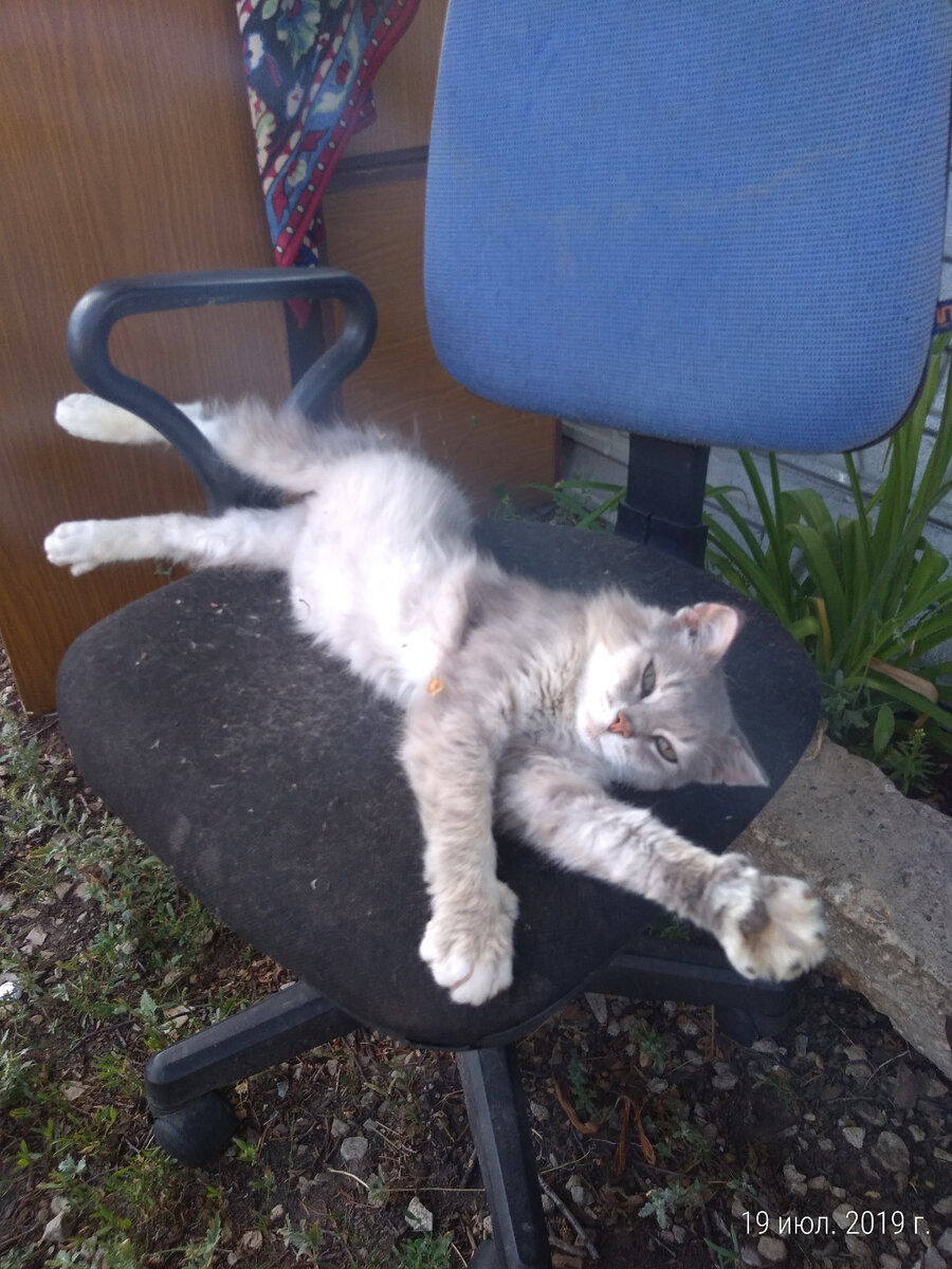 Жизнь хороша, когда кормят досыта и живность с кожи выводят