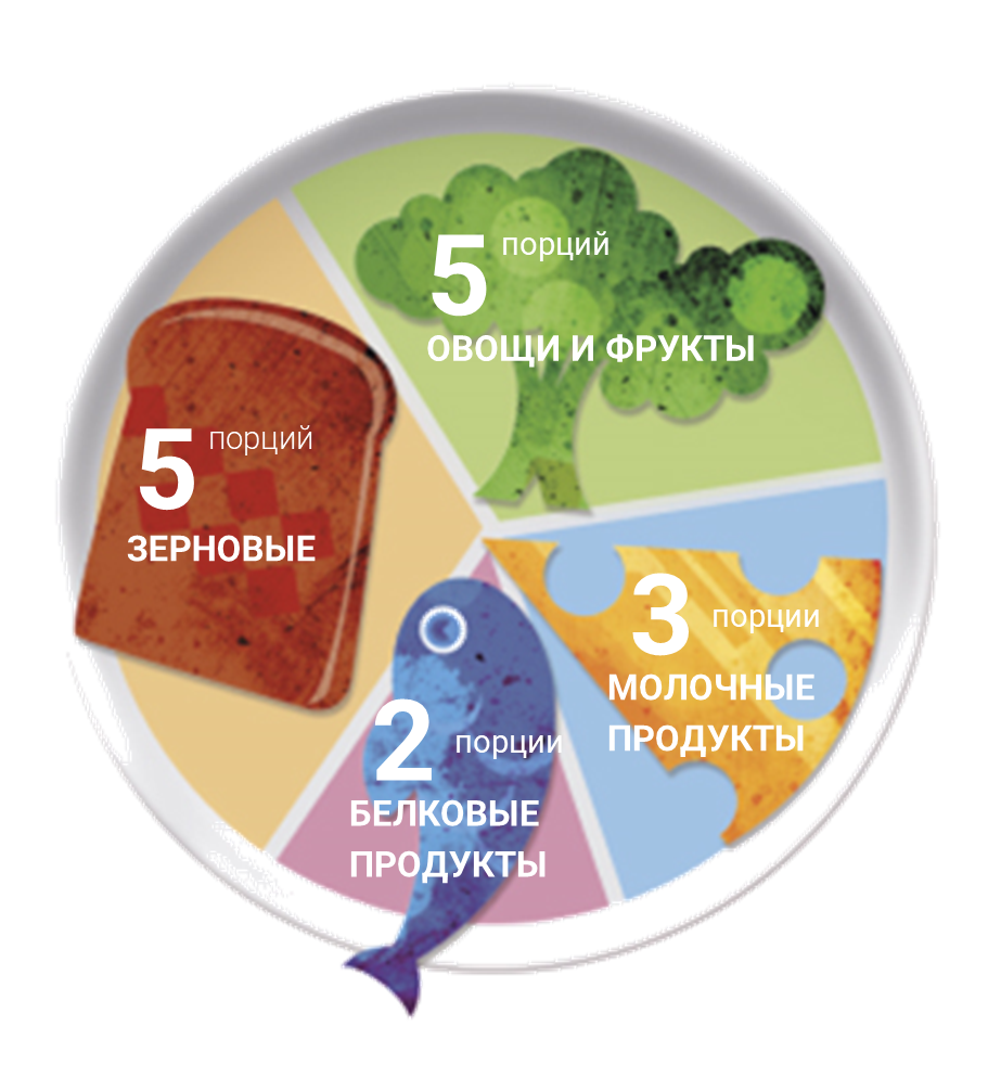 Питание детей от 1 года до 4 лет. Базовые принципы | Гармония в тарелке |  Дзен