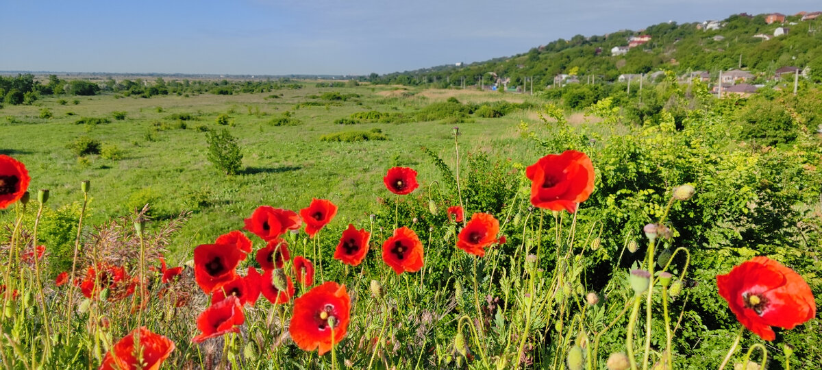 По пути следования к станице Старочеркасской, вблизи хутора Большой Лог