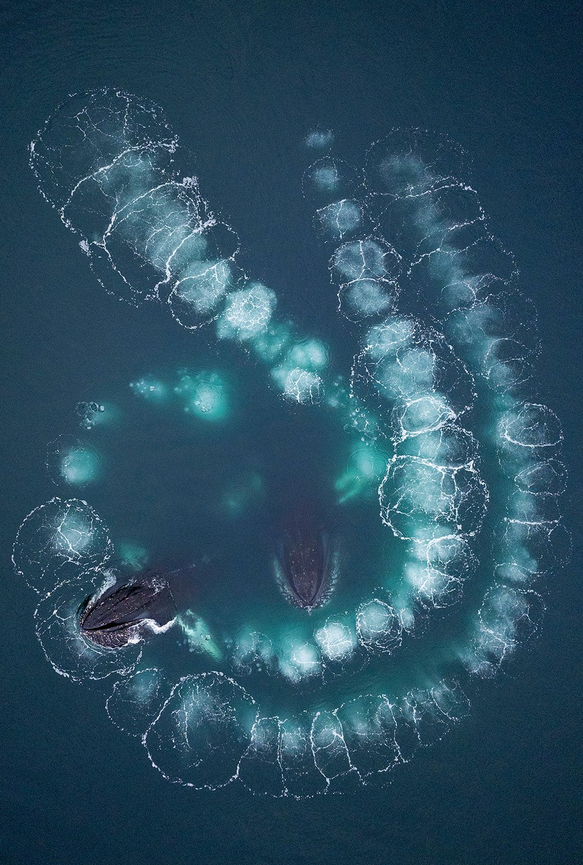    Scott Portelli, gdtfoto.de