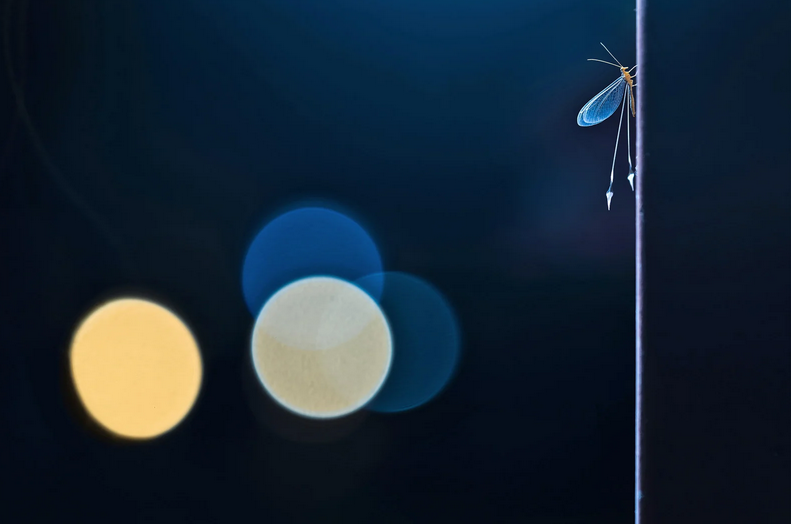    Gerald Haas, gdtfoto.de