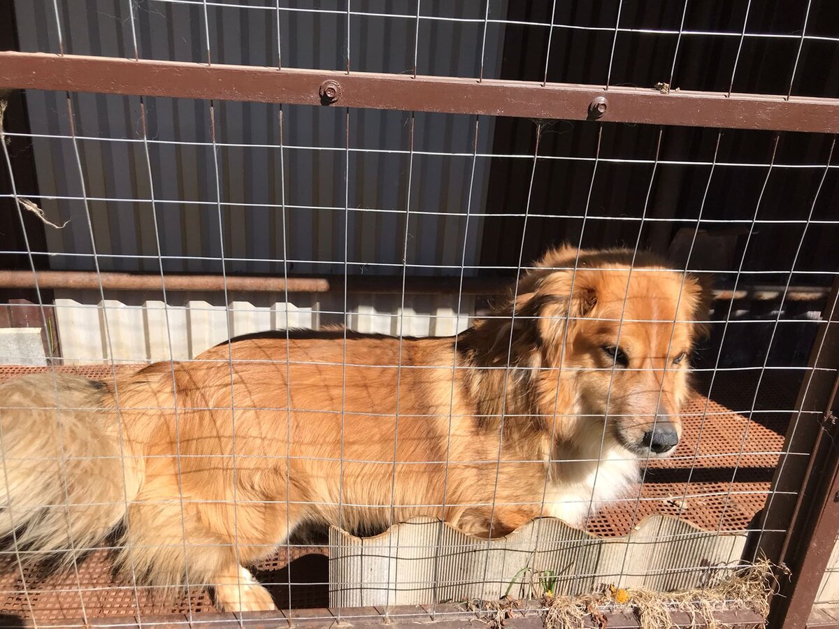 Личное фото автора