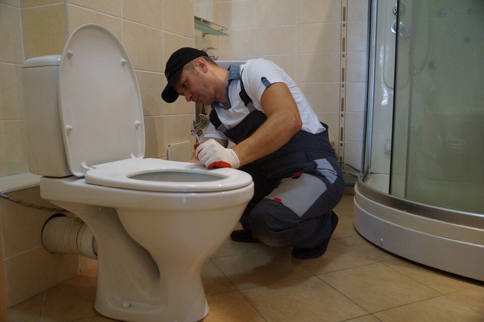 Смыть клеща в унитаз. Смыть клеща в унитаз