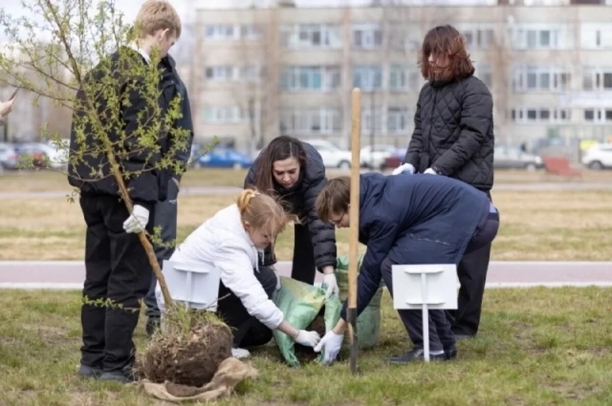   Свой вклад в озеленение города внесли учащиеся из 34-х школ.