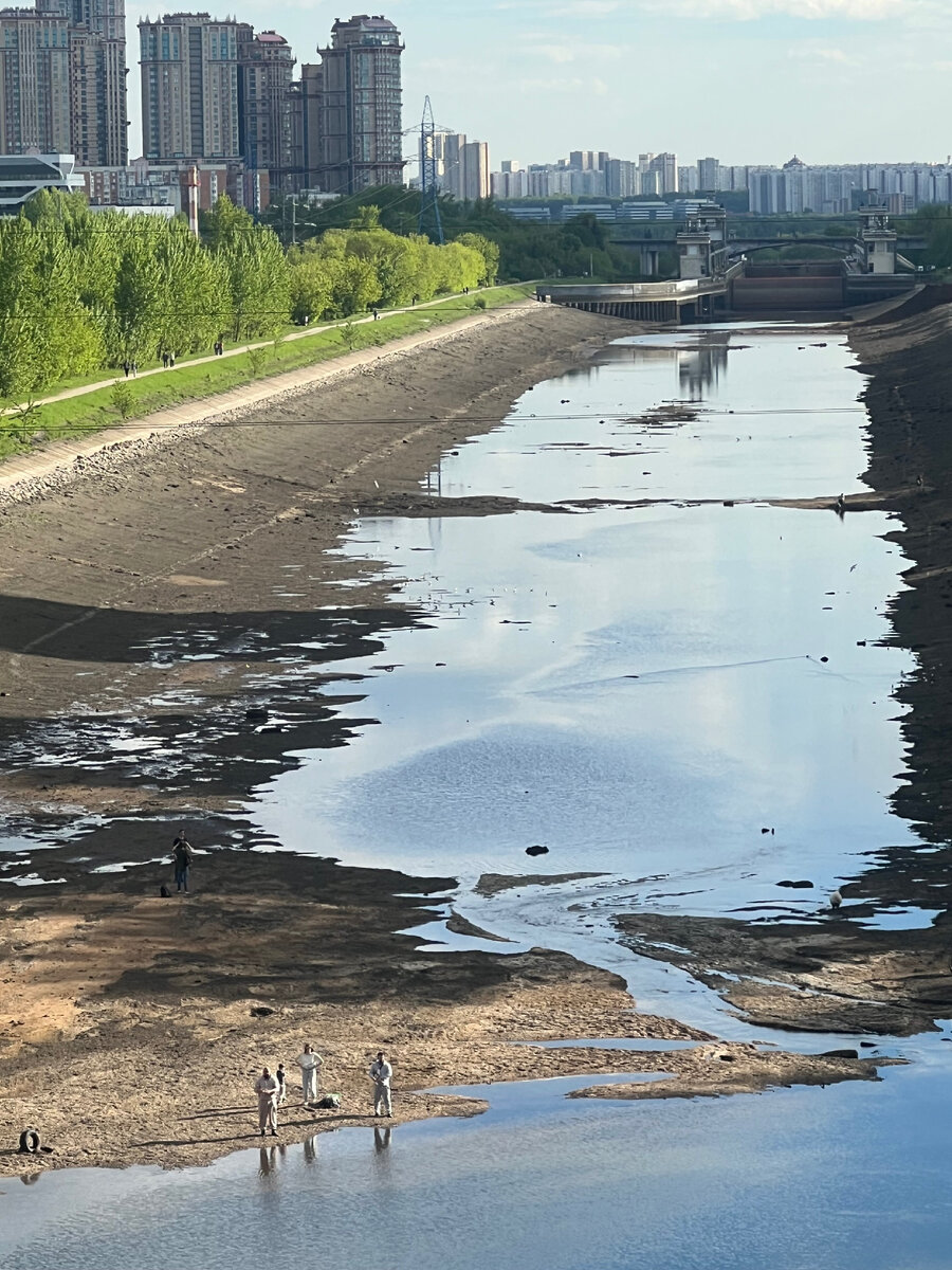 Фото канала от 20.05.2024