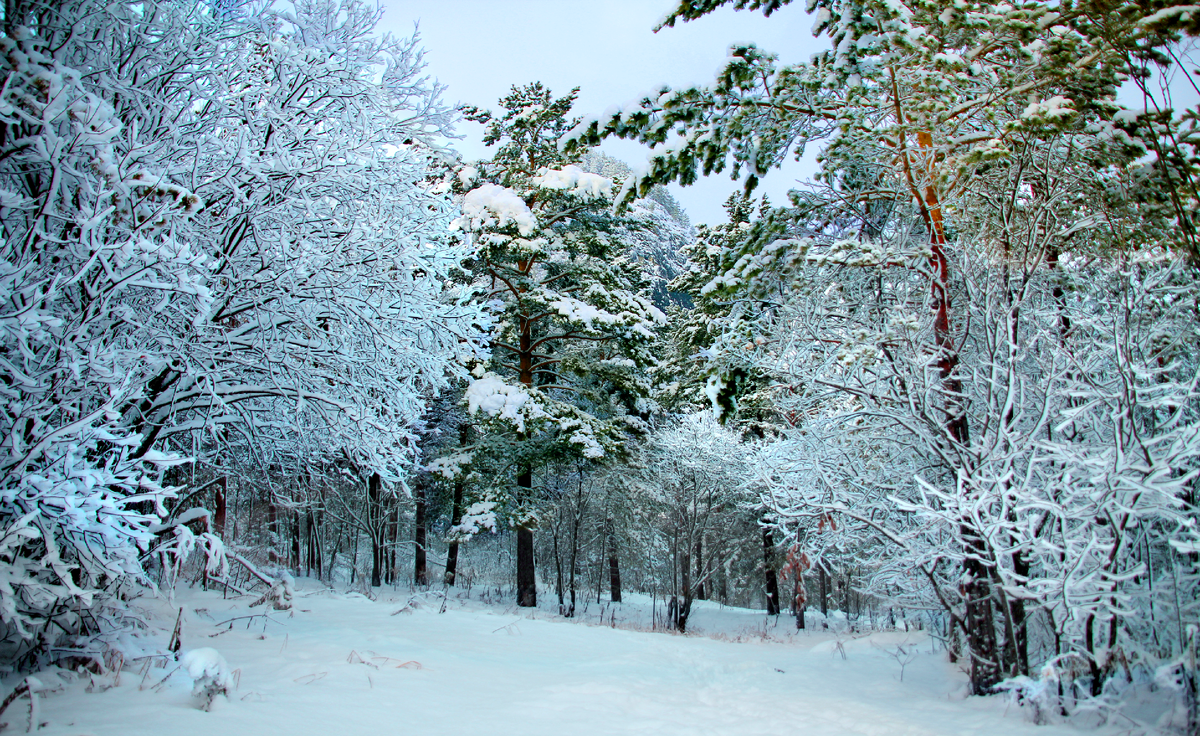 Фотография, стихотворение Василия Глуцкого