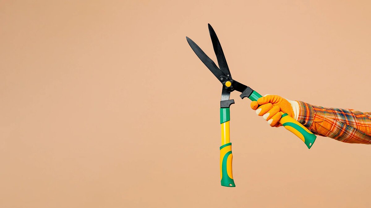 Источник: shutterstock.com