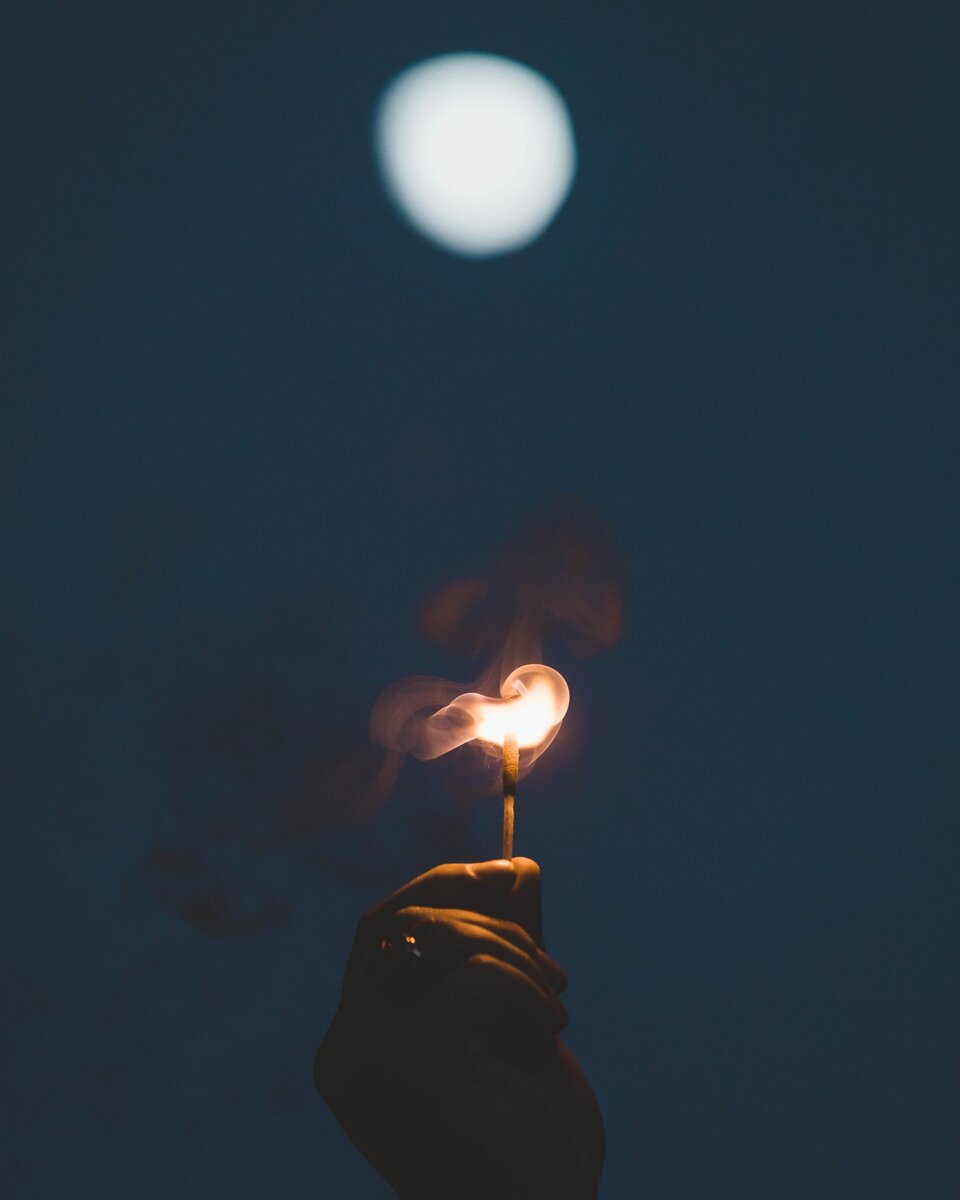 © unsplash.com / Dave Herring