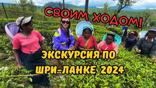 #2 ЛУЧШИЕ МЕСТА: Нувара-Элия, ПОЧТА, ВОДОПАД-Бассейн 🇱🇰 ШРИ ЛАНКА 2024