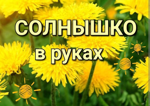 Магия Таро и Трав