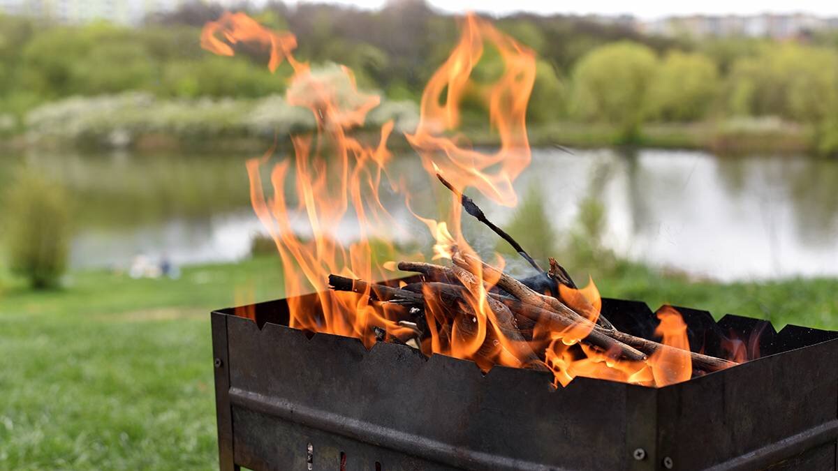    Фото: Shutterstock