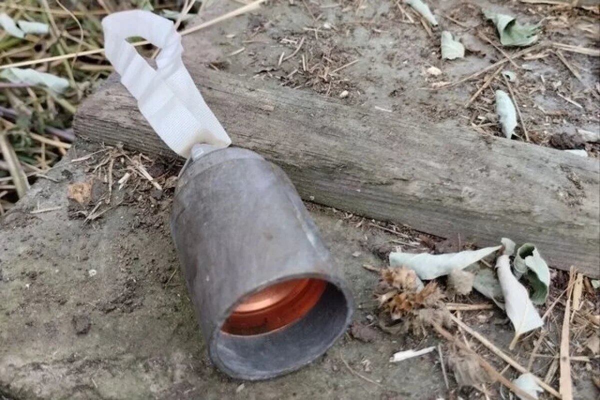    В Горловке после обстрела ВСУ обнаружили суббоеприпасы типа «колокольчик»