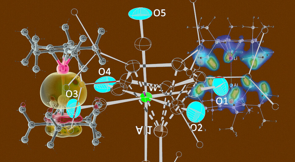   N + 1; Inga-Alexandra Bischoff et al. / Nature Chemistry, 2024